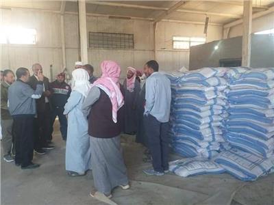 توزيع تقاوى القمح والشعير بالمجان لمزارعى واحة سيوه 