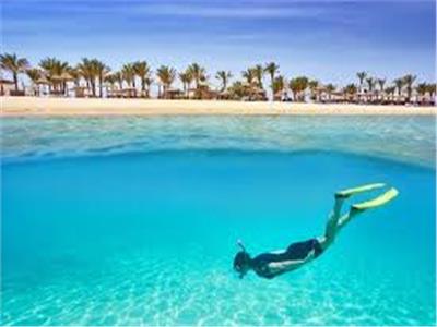 «نوبيع ودهب وسفاجا».. شواطئ مصرية رائعة لـ«الغوص»| فيديو 