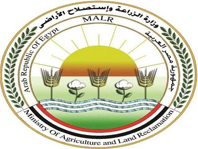 «الزراعة»: لا آثار سلبية للحالة الجوية على المحاصيل حتى الآن