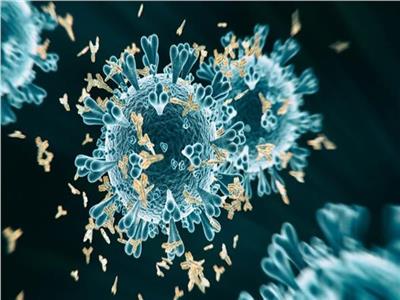أيمن ثروت: المتحور فى الفيروسات يضعف مع الوقت واللقاحات تواجه«أوميكرون»
