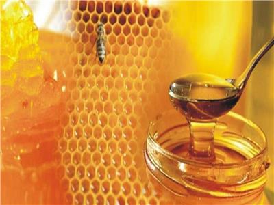طبيبة روسية تكشف خطأ شائع عند تناول العسل