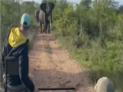 بسبب إزعاجهم في موسم التزاوج.. فيل عملاق يهاجم سيارة رحلات |فيديو