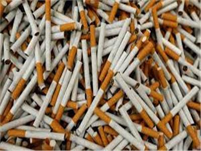 «حماية المستهلك» يكشف عن أسباب اقتحامه سوق السجائر 
