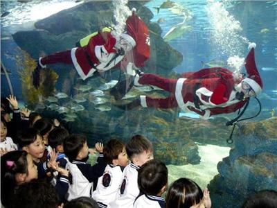 بابا نويل يقدم عروضاً استعراضية في حوض مائي مليئ بالأسماك