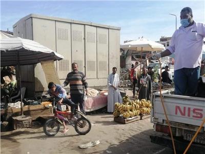 حملة لمكافحة ناقلات الأمراض في سوق الخضار و«زرزارة» بالغردقة