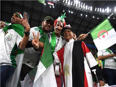 شاهد رقص جماهير مصر والجزائر في كأس العرب.. روح جميلة
