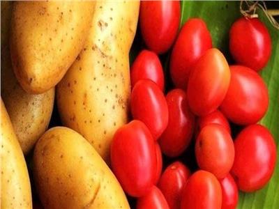 الطماطم والبطاطا.. الصحة تنصح بالإكثار من فيتامين «أ» لتقوية المناعة