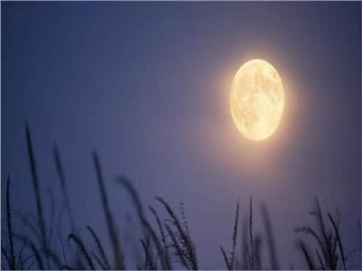 «القمر البارد».. بدر ديسمبر يزين السماء اليوم