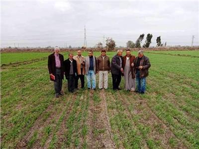 ندوة إرشادية لتوعية المزارعين حول النهوض بمحصول القمح في الشرقية
