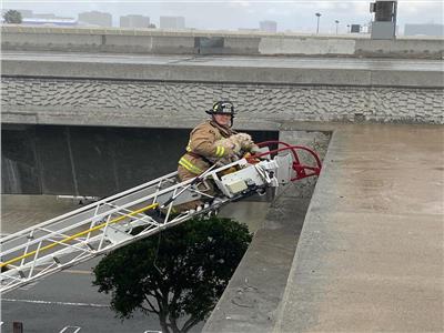 رجال الإطفاء ينقذون كلبًا عالقا على حافة جسر للطريق السريع