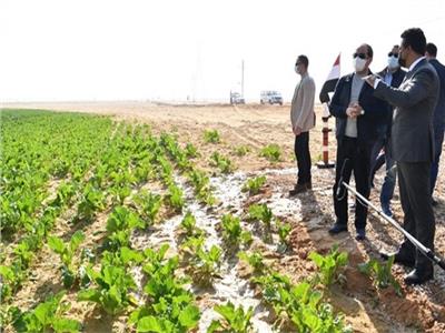 مصر تنطلق|  320 مشروعاً بتكلفة 40 مليار جنيـه تكتب «ميلاداً جديداً» للقطاع الزراعى