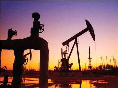 وزراء الطاقة في «أوبك+» يبحثون استقرار سوق النفط الخام في ظل أزمة «أوميكرون»