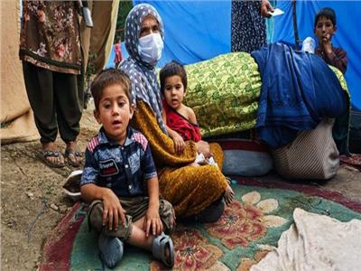 الأمم المتحدة: صدور بطاقات هوية ذكية للاجئين الأفغان