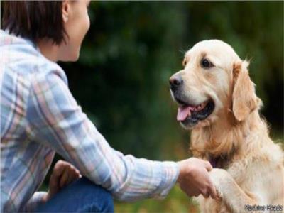 دراسة تكشف قدرة الكلاب على التمييز بين اللغات  