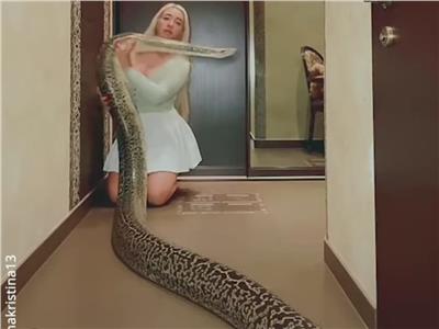 روسية تروض ثعابين ضخمة وتعيش معها |فيديو