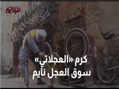 كرم «العجلاتي»: «سوق العجل نايم ومبقاش زي زمان» |فيديو