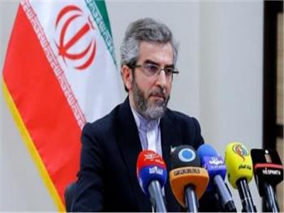 كبير المفاوضين الإيرانيين: العد العكسي للتوصل إلى اتفاق نهائي في فيينا «بدأ»