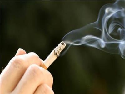 تقرير: منتجات التبغ المسخن تقلل من انبعاثات الكربون