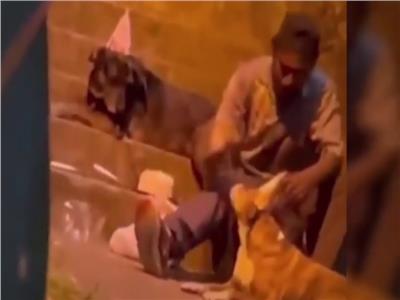 مشرد كولومبي يحتفل بعيد ميلاده برفقه كلبين| فيديو