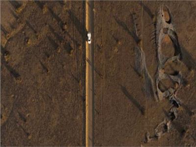 اكتشاف كائن جوراسي عملاق تمتد عظامه على مساحة واسعة من الأرض |فيديو