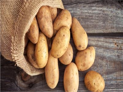 رحلة البطاطس.. من سبب تسمم أهم المحاصيل الزراعية في أوروبا؟  
