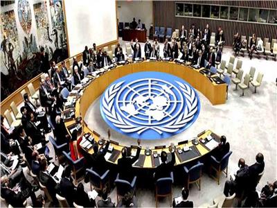 مجلس الأمن يدعو الحوثيين للإفراج الفوري عن السفينة الإماراتية «روابي»  
