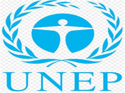 «الأمم المتحدة الإنمائي للبيئة»: المجال مفتوح للشباب لإنقاذ كوكب الأرض