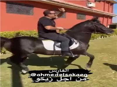 أحمد السقا يرقص بحصانه على أنغام الغزالة رايقة
