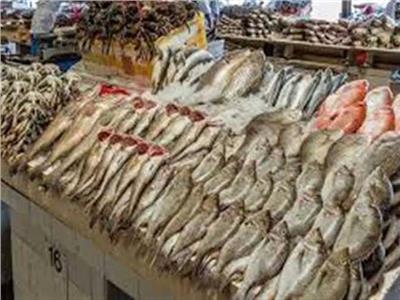 استقرار أسعار الأسماك في سوق العبور الأربعاء 26 يناير 