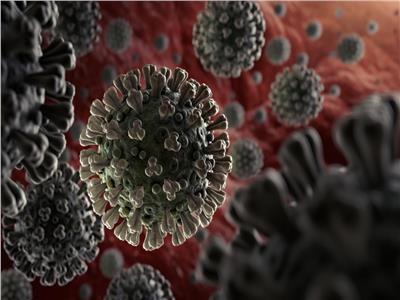 «القومي للبحوث» يكشف آخر تفاصيل العمل في اللقاح المصري ضد فيروس كورونا