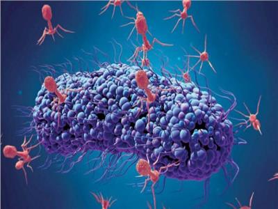 قد ينقذ أكثر من 10 ملايين سنويا.. اختراق محتمل لـ«البكتيريا القاتلة»