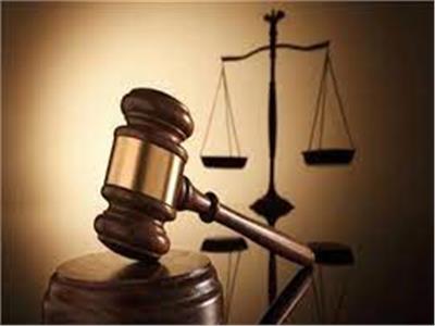 رفع جلسة استئناف المتهم على حكم حبسه في قضية «سيدة الوراق» لإصدار القرار