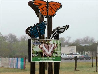 ترامب يهدد الفراشات في ولاية تكساس الأمريكية  