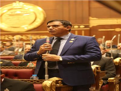 «نائب»: زيارة رئيس جيبوتي تؤكد أن مصر صون الأمن والاستقرار بأفريقيا