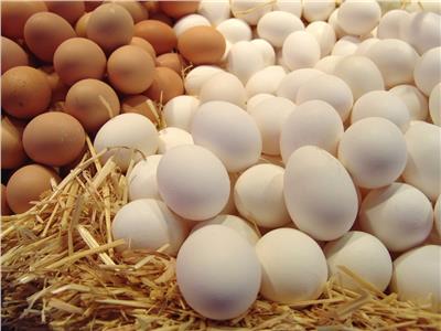 «شعبة الدواجن» تكشف أسباب ارتفاع أسعار بيض المائدة