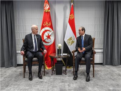تفاصيل مباحثات الرئيس السيسي مع نظيره التونسي في بروكسل ..فيديو