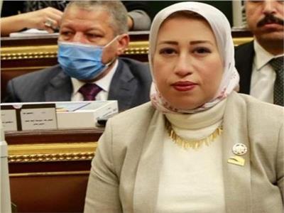 برلمانية تطالب بإنشاء كوبري مشاه في بني سويف لحماية الأهالي