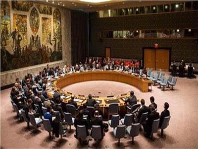 مندوب البرازيل لمجلس الأمن: ندعم الجهود الدبلوماسية لحل الأزمة الأوكرانية