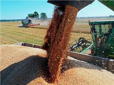 سبوتنيك: ارتفاع جنوني في أسعار القمح العالمية بسبب الأزمة الروسية الأوكرانية