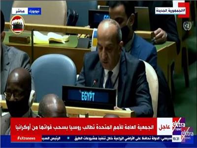 مندوب مصر بالأمم المتحدة: نرفض منهج توظيف العقوبات خارج النظام الدولي