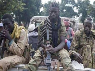 مقتل عشرة مدنيين إثر هجوم شنته جماعة «بوكو حرام» بالنيجر