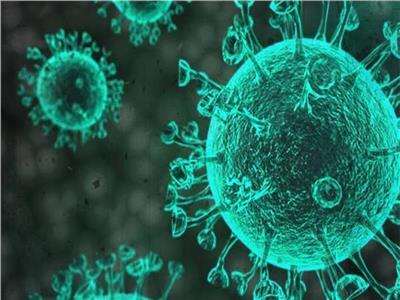 «نوروفيروس».. تعرف على فيروس جديد يضرب الأطفال| فيديو