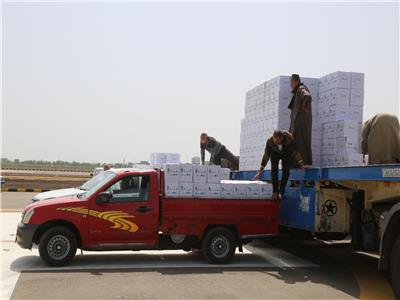 توزيع 19 ألف و500 كرتونة على الأسر الأولى بالرعاية بكفر الشيخ