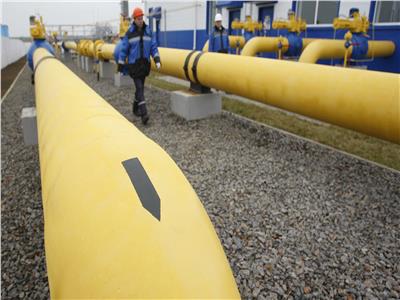 مسؤول ألماني: يمكننا استبدال 40% من الغاز الروسي