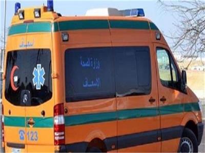 السرعة الطائشة تقتل تلميذًا في محافظة المنوفية