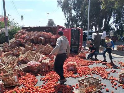 إصابة سائق في انقلاب سيارة محملة بالطماطم بالإسماعيلية | صور
