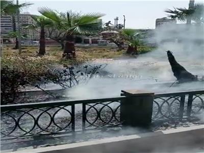 السيطرة على حريق في حديقة «الشلالات» بالإسكندرية| صور 