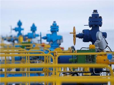 نوفاك: عدد من المشترين وافق على شراء الغاز الروسي بالروبل