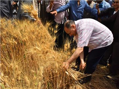 محافظ أسيوط يشارك المزارعين فرحتهم بحصاد محصول القمح 