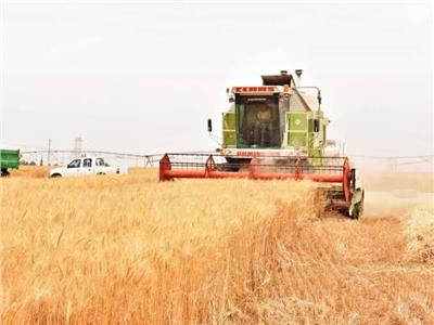 «الزراعة»: استخدام أحدث المعدات في حصاد القمح بتوشكى لتقليل الفاقد